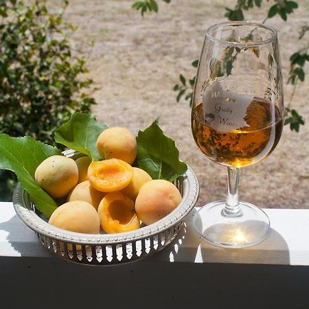 Whiskey Gully Wines Stanthorpe Exterior foto