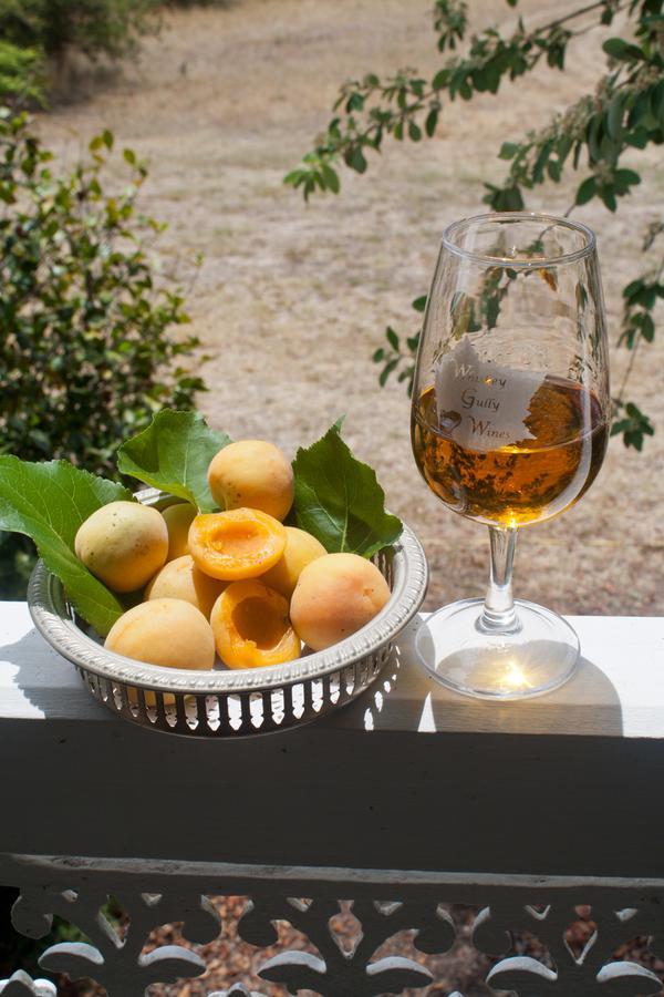 Whiskey Gully Wines Stanthorpe Exterior foto